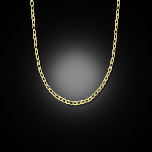 14k Gold Mirror Rolo Necklace