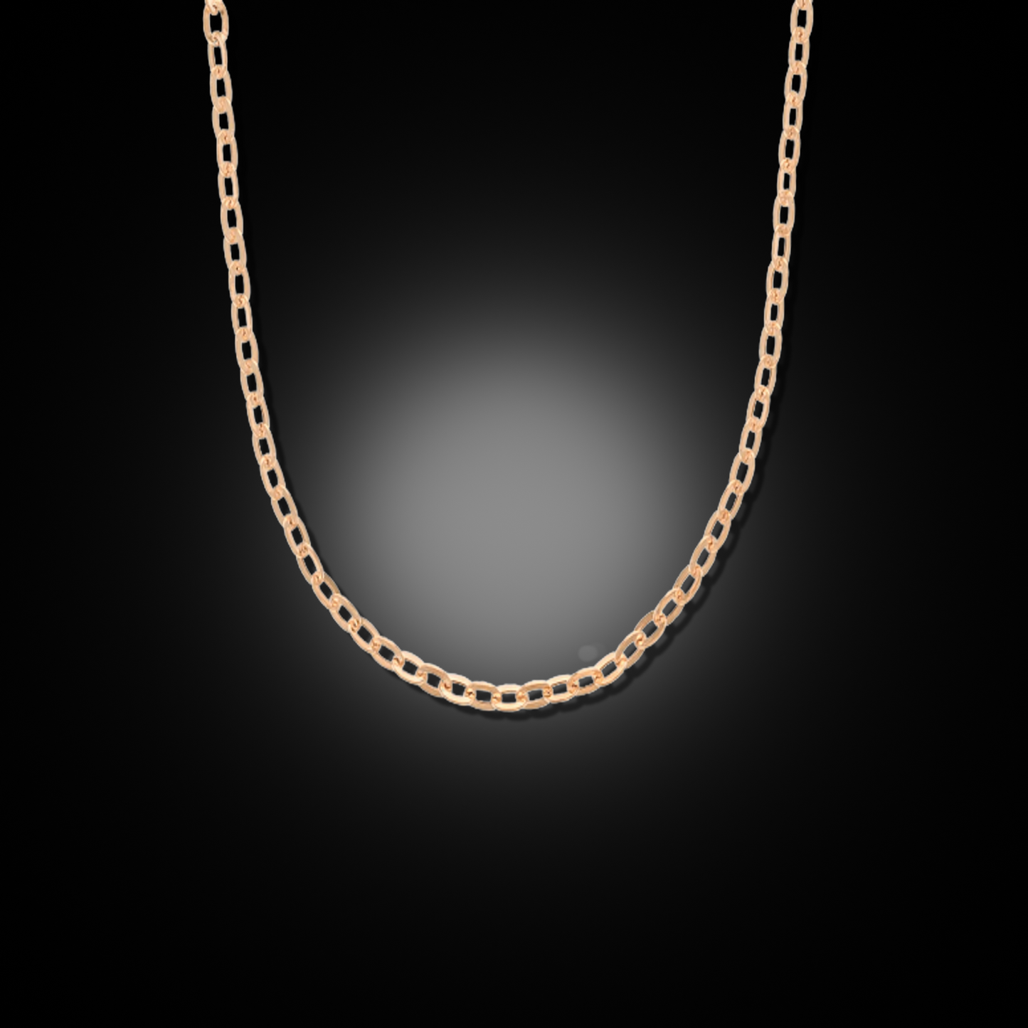 14k Gold Mirror Rolo Necklace